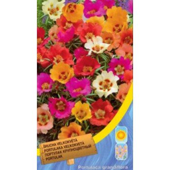 Портулак великоквітковий суміш /0,15 г/ *Moravoseed*
