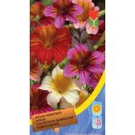 Сальпіглосіс суміш /0,2 г/ *Moravoseed*