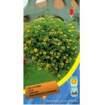 Санвіталія золотиста /0,15 г/ *Moravoseed*