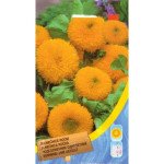 Соняшник однорічний високорослий /1 г/ *Moravoseed*