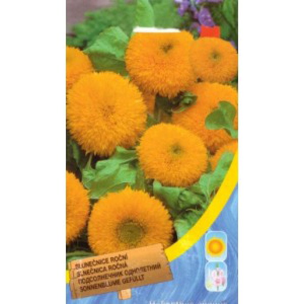 Семена подсолнуха однолетний высокорослый /1 г/ *Moravoseed*