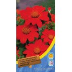 Титония круглолистая оранжевая /0,8 г/ *Moravoseed*