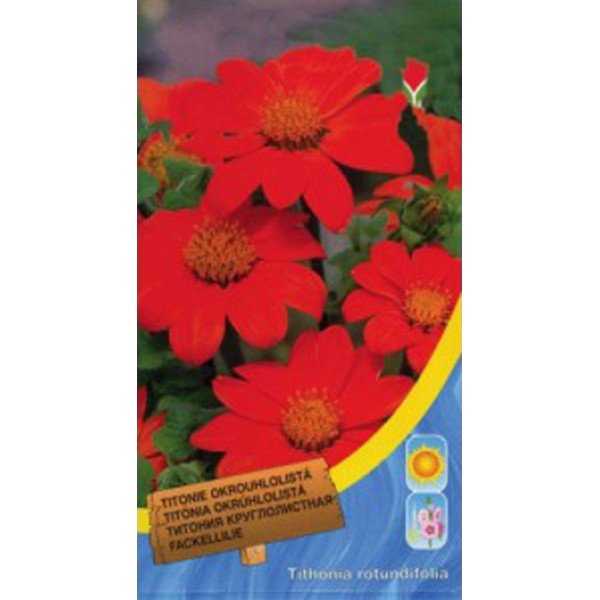 Насіння Тітонії круглолистої помаранчева /0,8 г/ *Moravoseed*