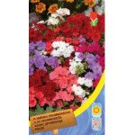 Флокс Друммонда суміш /0,15 г/ *Moravoseed*