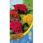 Целозия гребешковая смесь /0,3 г/ *Moravoseed*