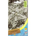 Цинерарія Срібний карлик /0,2 г/ *Moravoseed*