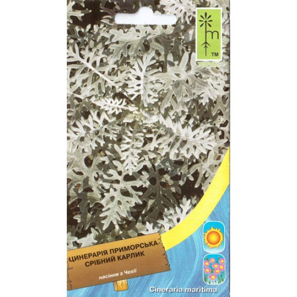 Насіння цинерарії Срібний карлик /0,2 г/ *Moravoseed*
