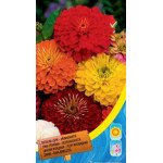 Цинія жоржиновидна суміш /0,7 г/ *Moravoseed*