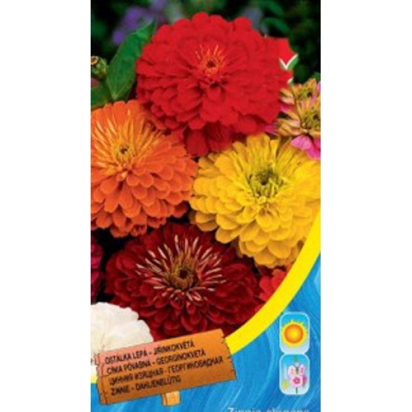 Насіння цинії жоржиновидна суміш /0,7 г/ *Moravoseed*