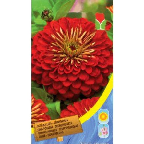 Семена циннии георгиновидная красная /0,7 г/ *Moravoseed*