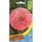 Цинния георгиновидная розовая /0,7 г/ *Moravoseed*
