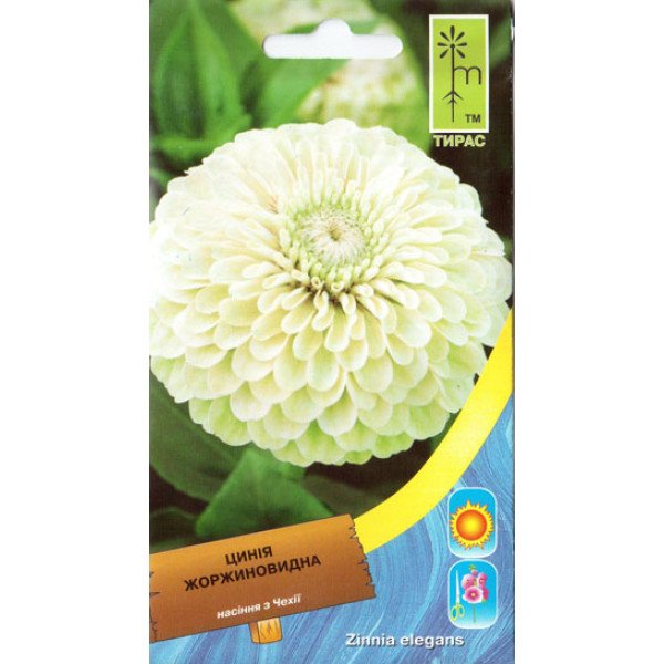 Насіння цинії жоржиновидна біла /0,7 г/ *Moravoseed*