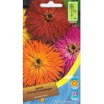 Цинія хризантемовидна суміш /0,7 г/ *Moravoseed*