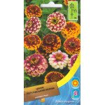 Цинния Персидский ковер смесь /0,7 г/ *Moravoseed*