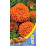 Чорнобривці прямостоячі помаранчеві /0,5 г/ *Moravoseed*