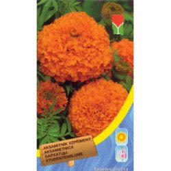 Чорнобривці прямостоячі помаранчеві /0,5 г/ *Moravoseed*