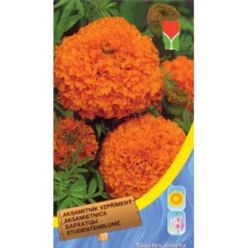 Бархатцы прямостоячие оранжевые /0,5 г/ *Moravoseed*