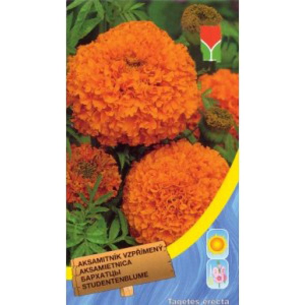 Насіння чорнобривців прямостоячих помаранчеві /0,5 г/ *Moravoseed*