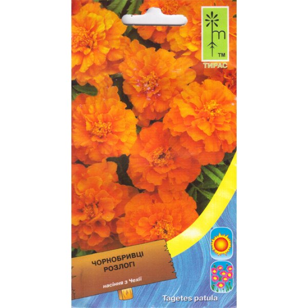 Насіння чорнобривців відхилені низькі помаранчеві /0,6 г/ *Moravoseed*