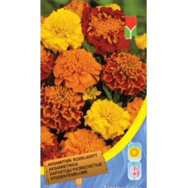 Насіння чорнобривців відхилені низькі суміш /0,6 г/ *Moravoseed*