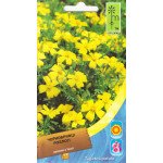 Чорнобривці відхилені низькі жовті /0,6 г/ *Moravoseed*