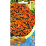 Бархатцы тонколистные оранжевые /0,15 г/ *Moravoseed*