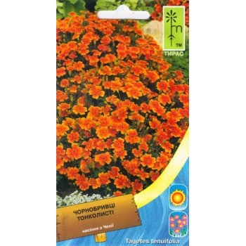 Бархатцы тонколистные оранжевые /0,15 г/ *Moravoseed*