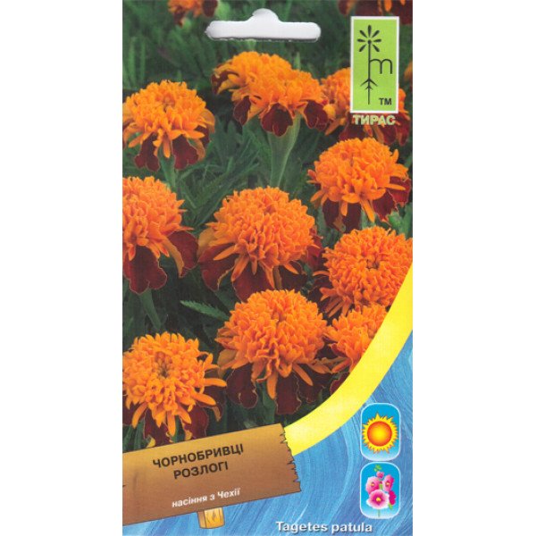 Насіння чорнобривців відхилені низькі Карамель /0,3 г/ *Moravoseed*