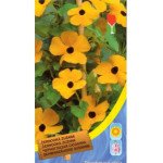 Тунбергия черноглазая Сюзанна /0,4 г/ *Moravoseed*