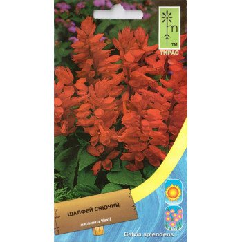 Шалфей блестящий красный /0,2 г/ *Moravoseed*