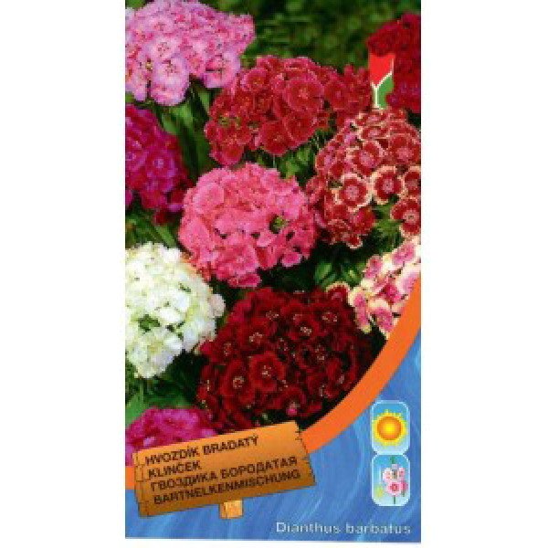 Насіння гвоздики бородата суміш /0,5 г/ *Moravoseed*