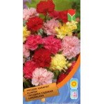 Гвоздика садова суміш /0,25 г/ *Moravoseed*