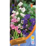 Дзвоник садовий суміш /0,2 г/ *Moravoseed*