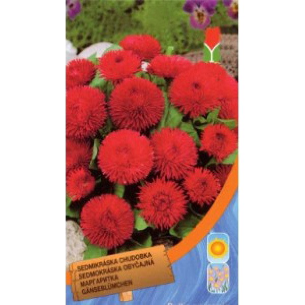 Насіння маргаритки помпоновидна червона /0,1 г/ *Moravoseed*