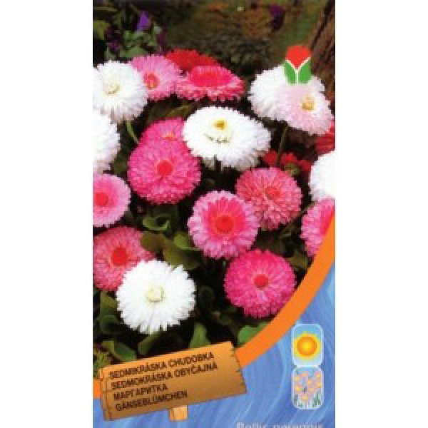 Насіння маргаритки помпоновидна суміш /0,1 г/ *Moravoseed*