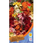 Хейрантус садовий суміш /0,5 г/ *Moravoseed*