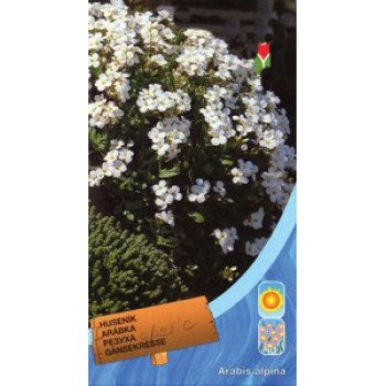 Арабис кавказский белый /0,1 г/ *Moravoseed*