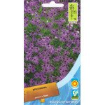 Брахикома синяя с глазком /0,2 г/ *Moravoseed*