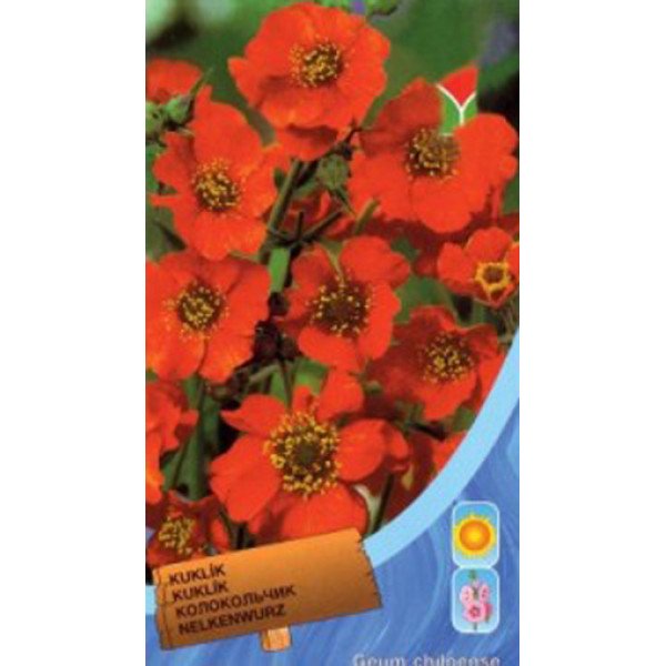 Насіння дзвоника Чилійський помаранчевий /0,15 г/ *Moravoseed*