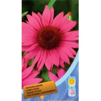 Эхинацея пурпурная /0,4 г/ *Moravoseed*