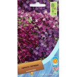 Обриетта гибридная смесь /0,1 г/ *Moravoseed*