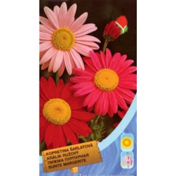 Пижма пурпурная /0,2 г/ *Moravoseed*