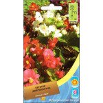 Бегонія довгоквітуча суміш /0,004 г/ *Moravoseed*