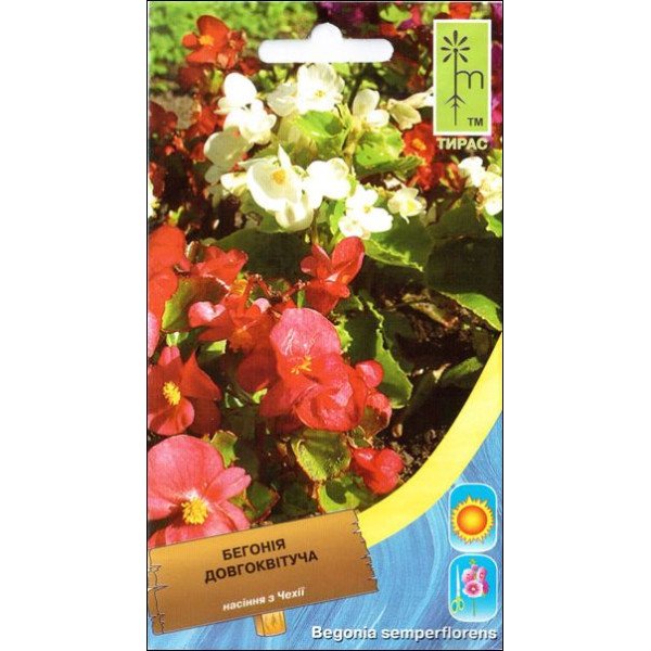 Насіння бегонії довгоквітуча суміш /0,004 г/ *Moravoseed*