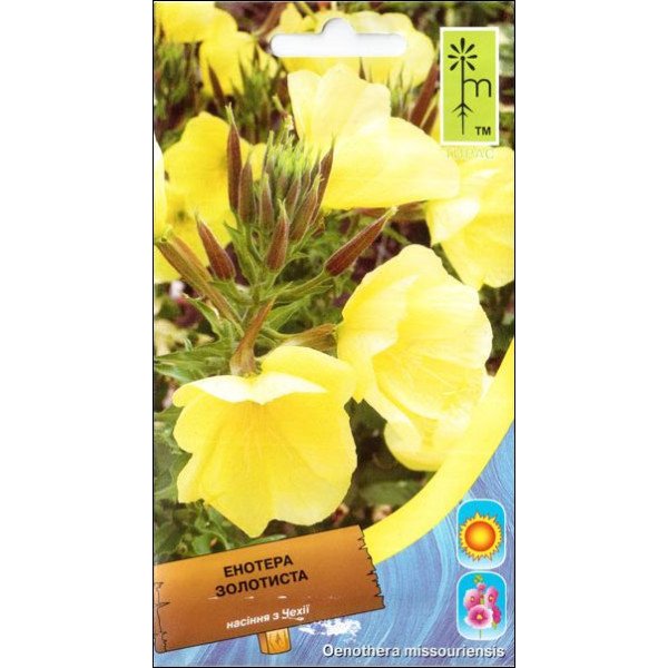 Семена энотеры золотистой /0,2 г/ *Moravoseed*