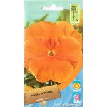 Фиалка оранжевая /0,2 г/ *Moravoseed*