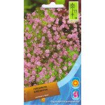 Гіпсофіла елегантна рожева /0,15 г/ *Moravoseed*