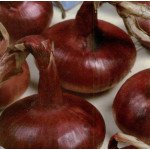 Цибуля Кармен (Вікторія) /20 г/ *Moravoseed*