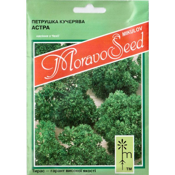 Насіння петрушки кучерявої Астра /20 г/ *Moravoseed*