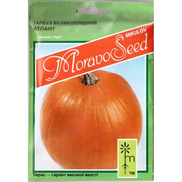 Семена тыквы Голиаш (Атлант) /20 г/ *Moravoseed*